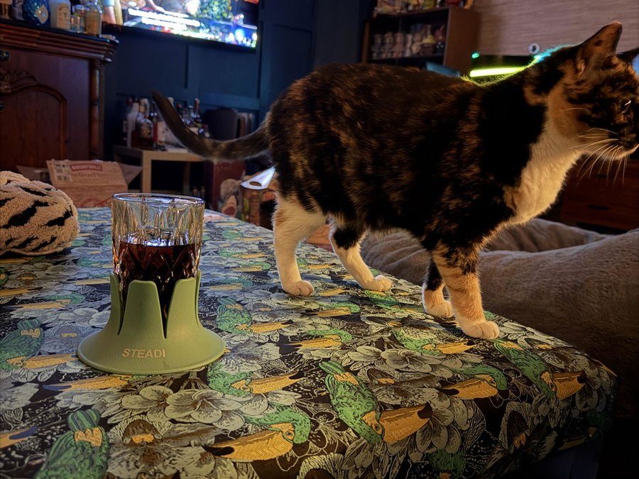 A glass of cola in a sage Steadi on a fabric ottoman while a calico cat walks past.